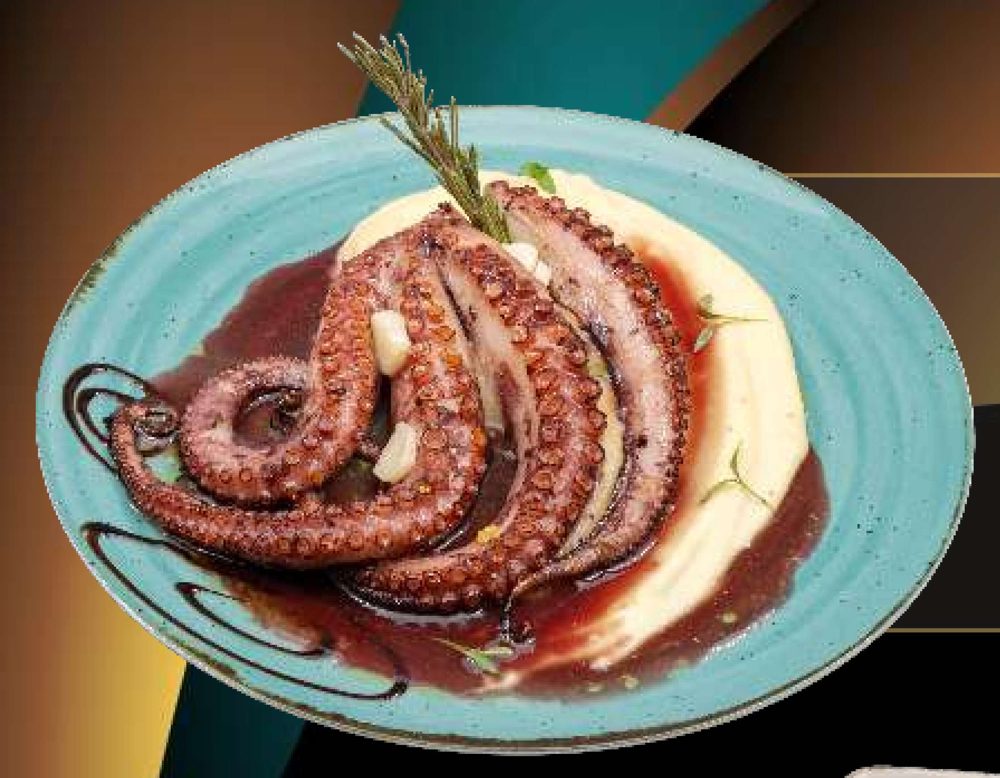 Polvo OPORTO